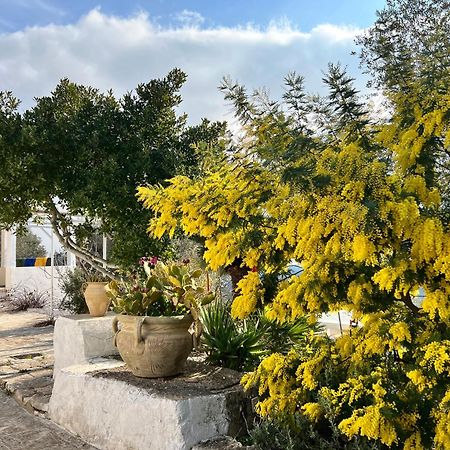 Syconium Trullo And Lamia Gea Charme And History Hotel ออสตูนี ภายนอก รูปภาพ