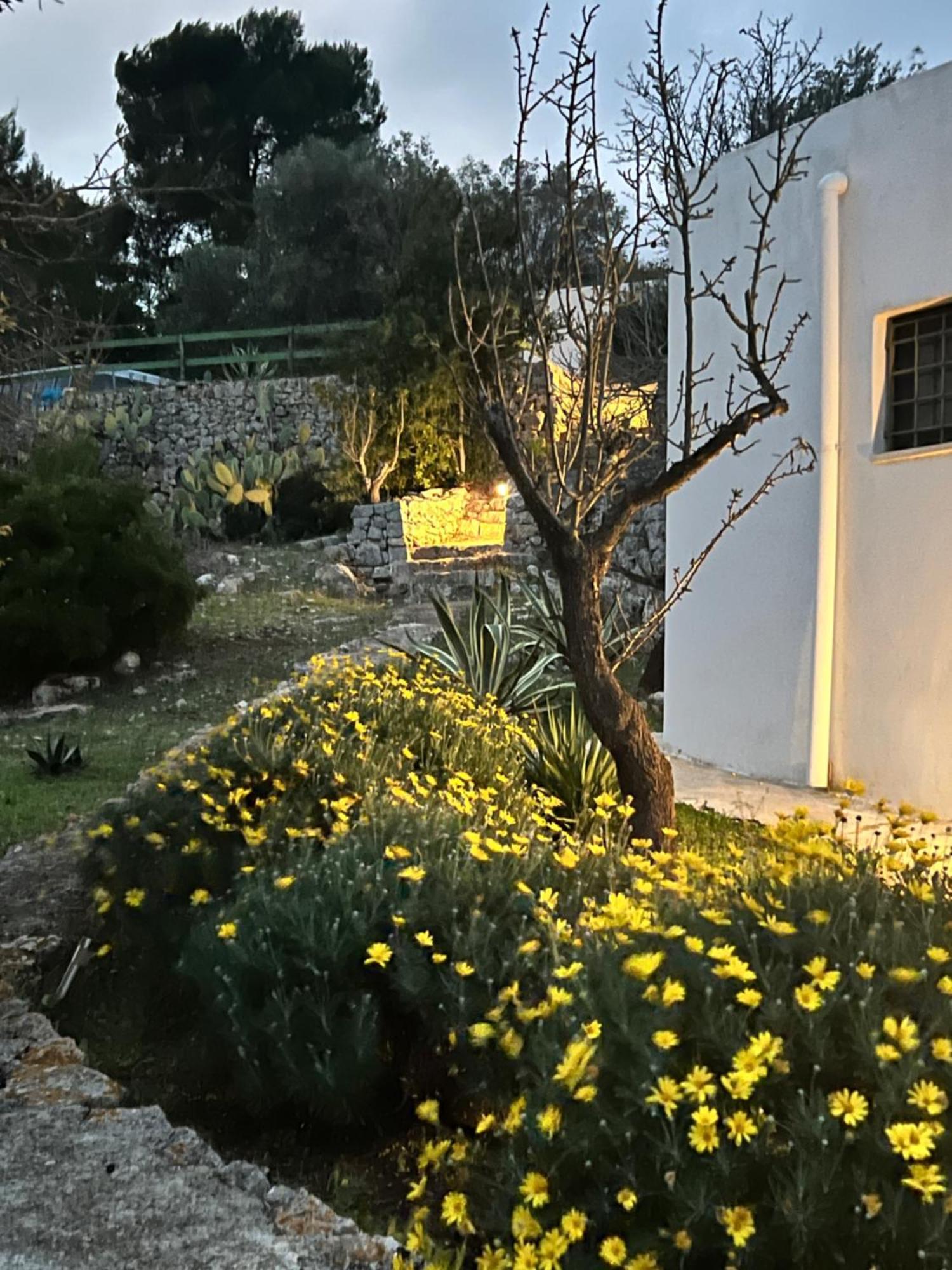 Syconium Trullo And Lamia Gea Charme And History Hotel ออสตูนี ภายนอก รูปภาพ