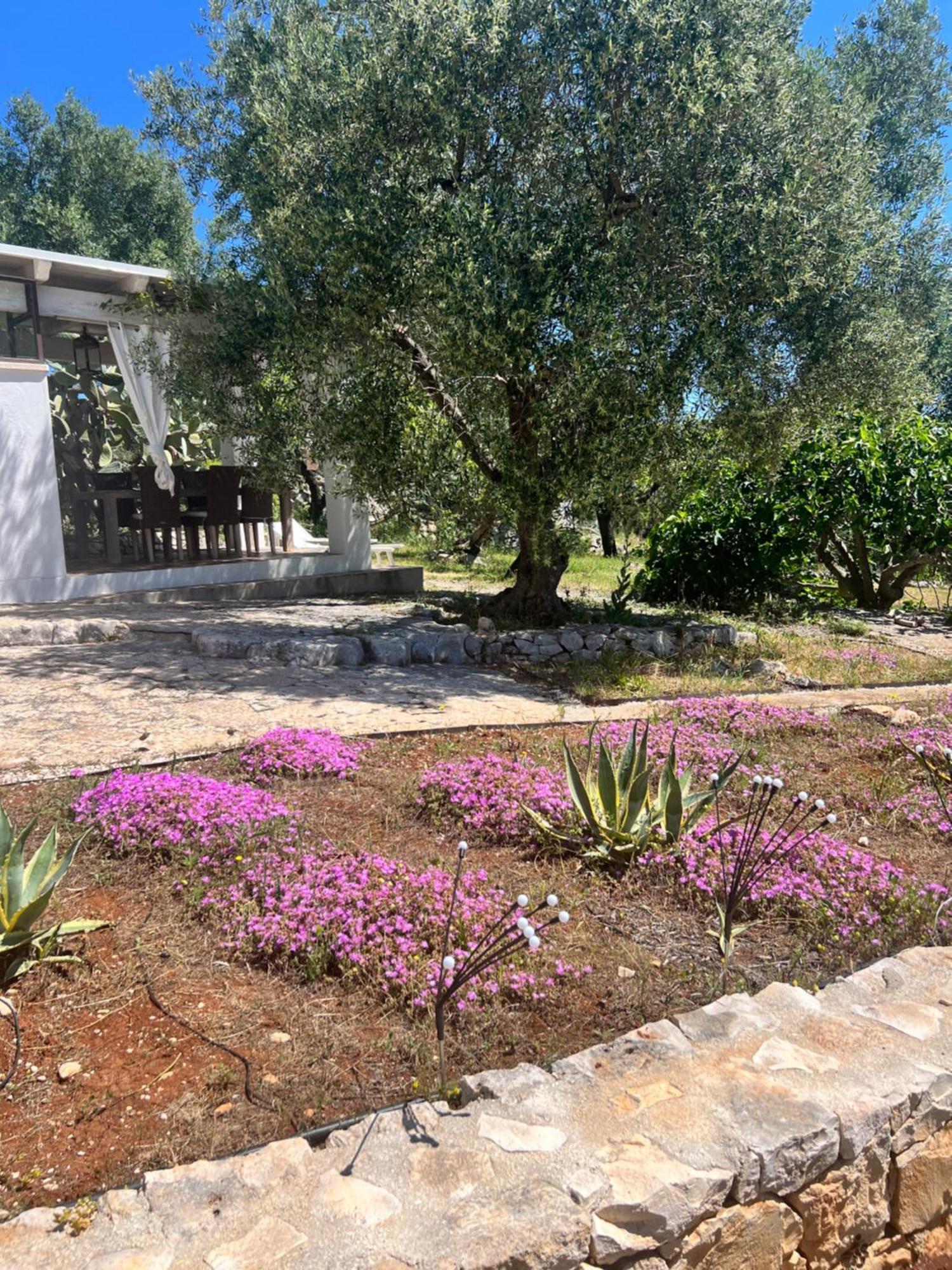 Syconium Trullo And Lamia Gea Charme And History Hotel ออสตูนี ภายนอก รูปภาพ